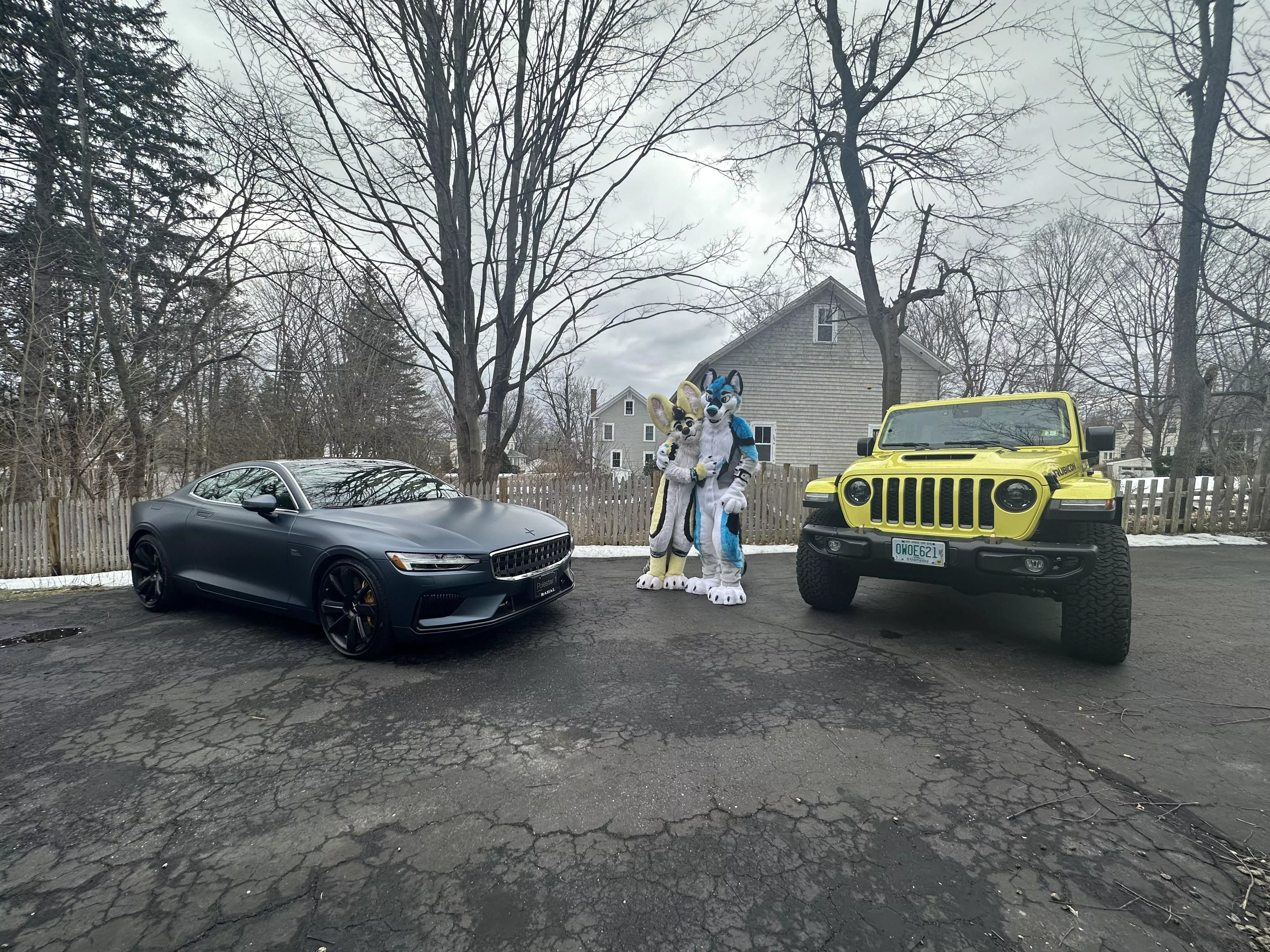 The Fast & Furriest posted by Lumunix