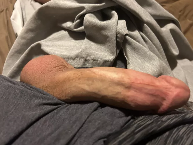 Think you could take it? by LordChungaass