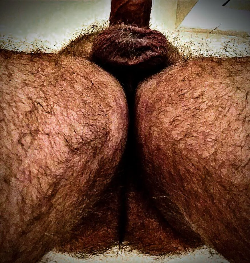 Undercarriage posted by coming_around_again