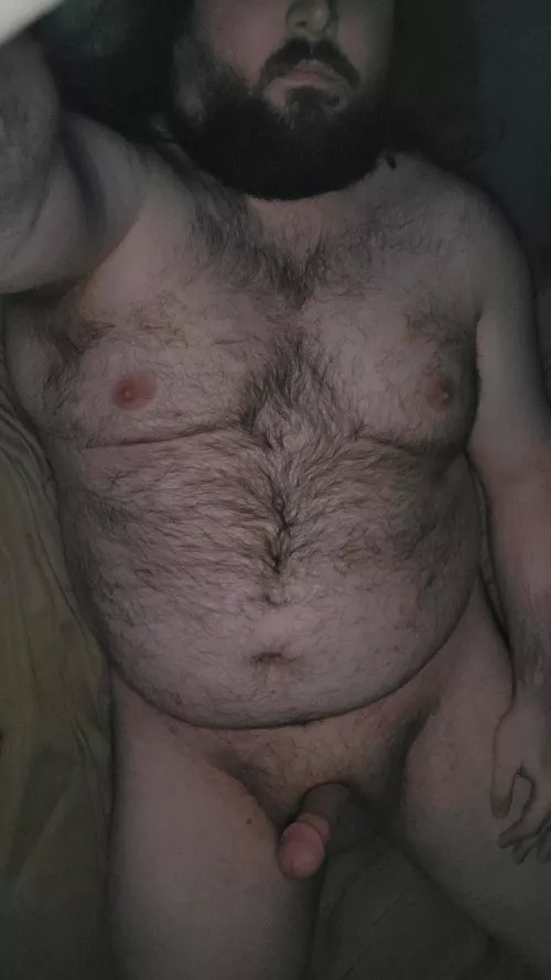 Who wants to take this bear for a ride? by DogDaddy97