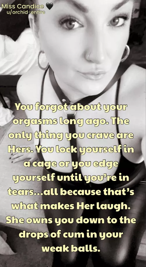 You exist to be her entertainment. And you wouldn’t change a thing. by Orchid-Entire