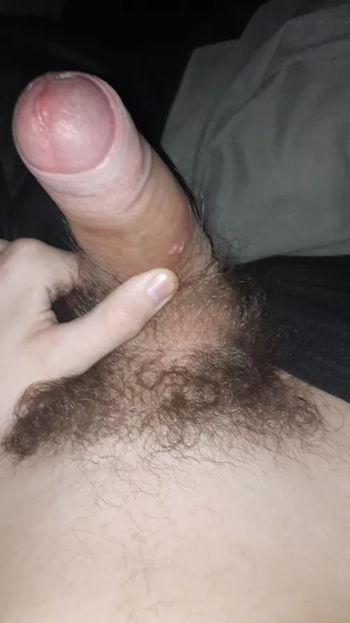 18 home alone really horny down for anything dm me by DreamRecent6239