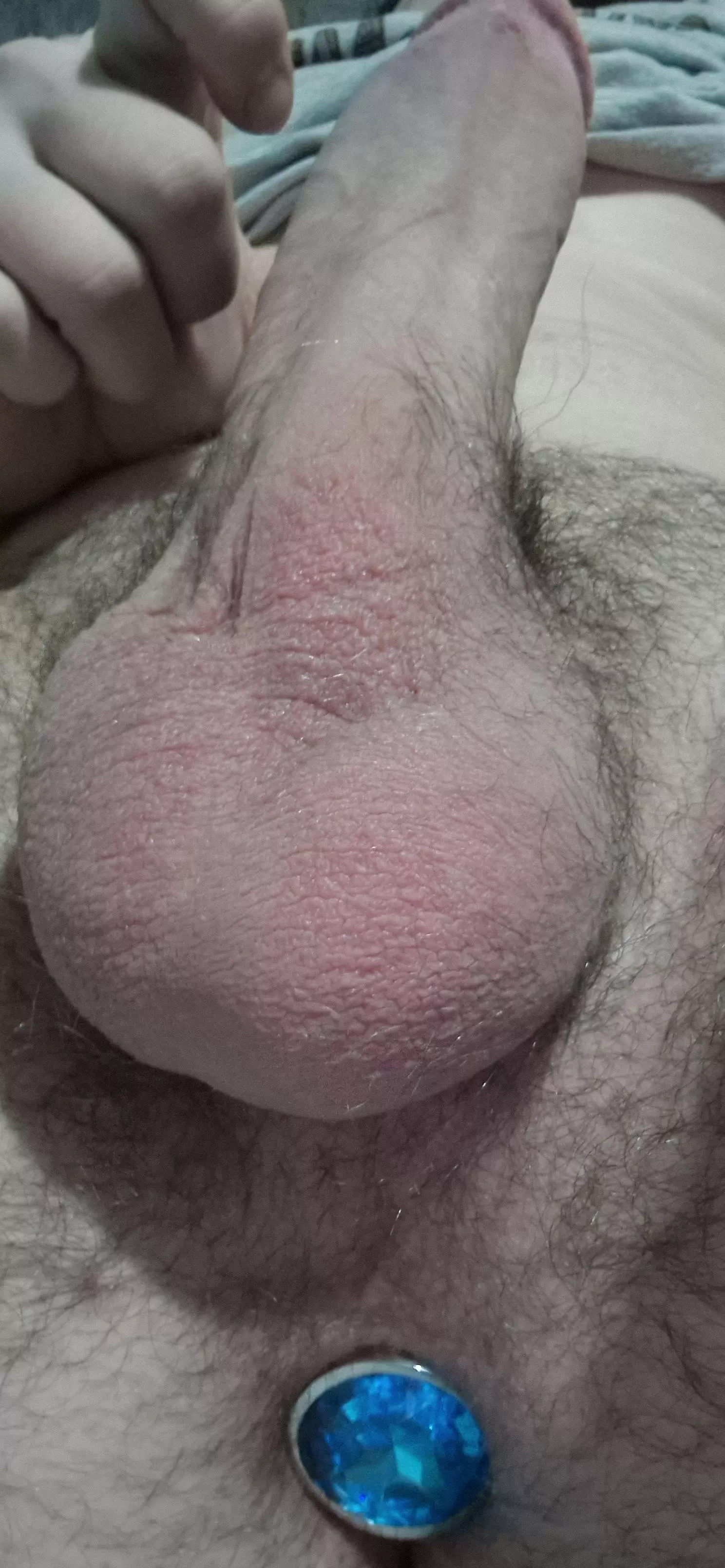 (20) how come nobody told me how fun butt plugs are? posted by YoungAndDense