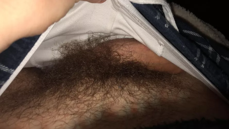 30 m looking for ONLY hairy - bushy dicks with face for fun on Snapchat : Marc.boy23 by hairygayboy3