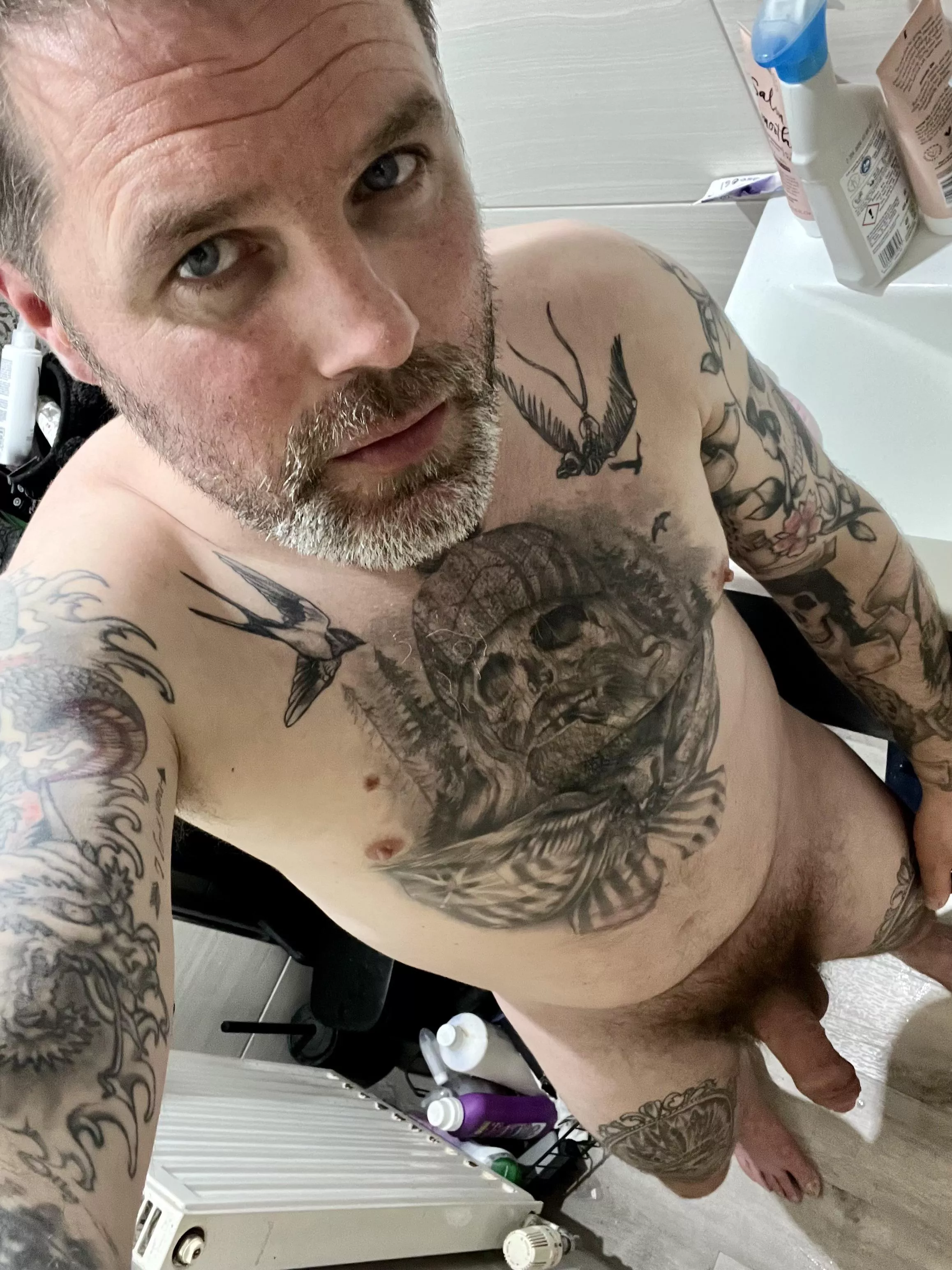 [42] I need of some TLC posted by Mammoth-Geologist874