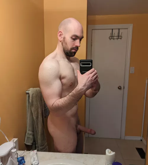 Did you miss me? by gatorshark921