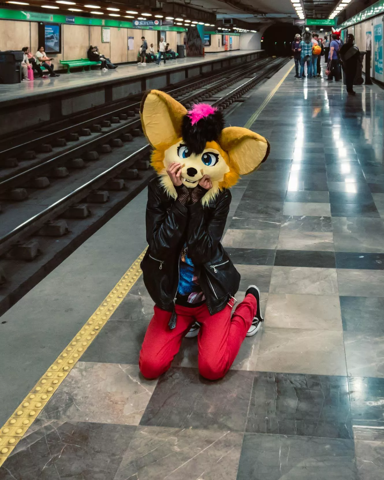 Fluffy critters on the subway?! More likely than you think! 📸: PinkDog on IG posted by RaviFennec