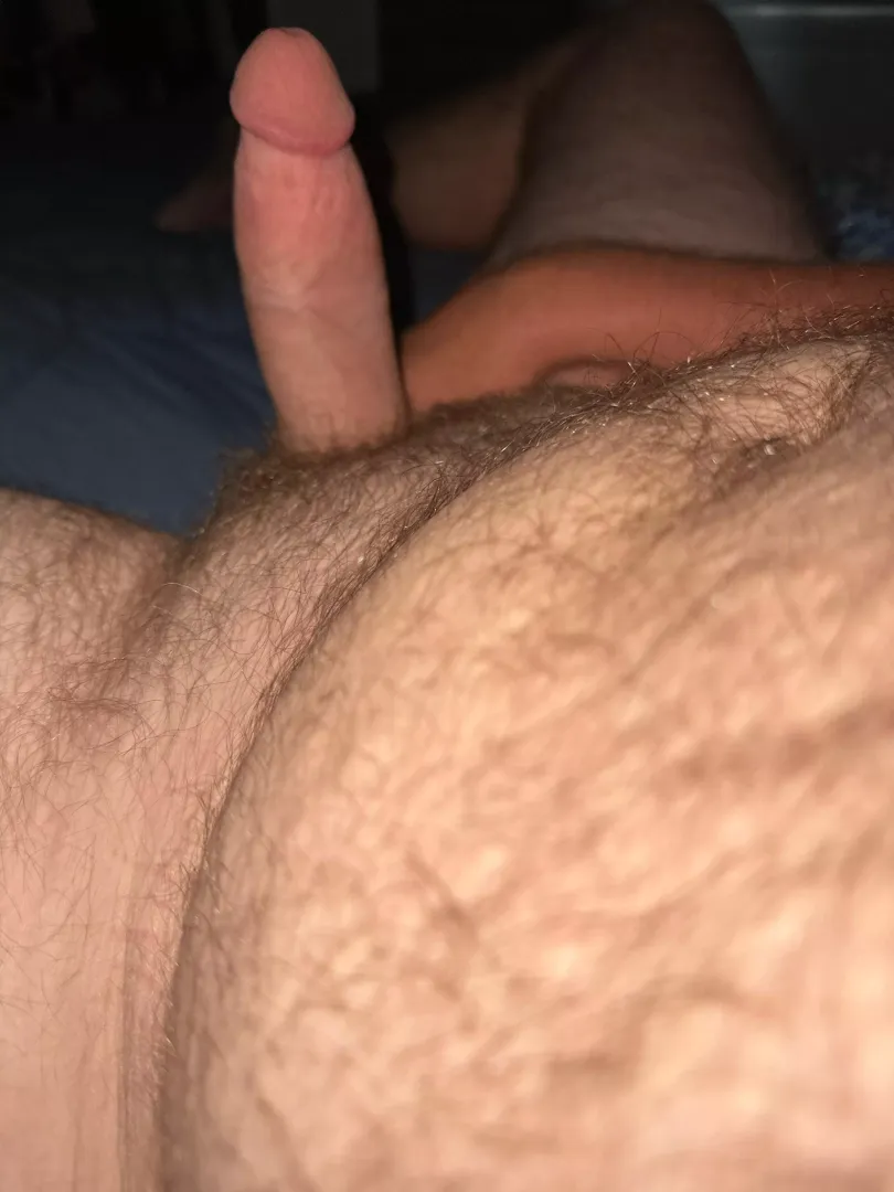 Haven’t shaved in a while, do I shave it or grow the bush? by _words_1