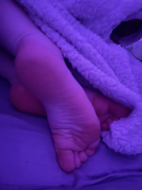 how sweaty do you think they’ll get under this cozy blanket? findom feet by feetofanymph