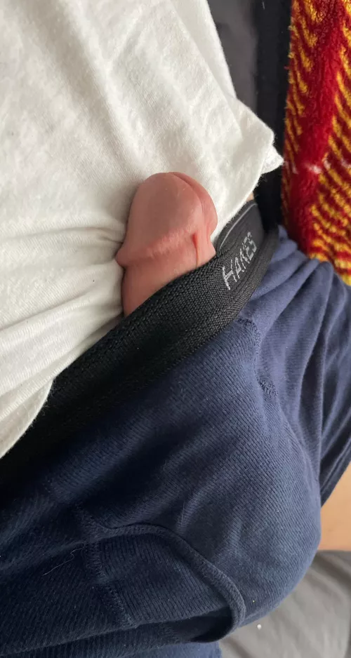 i can barely contain it by PaymentRude3369