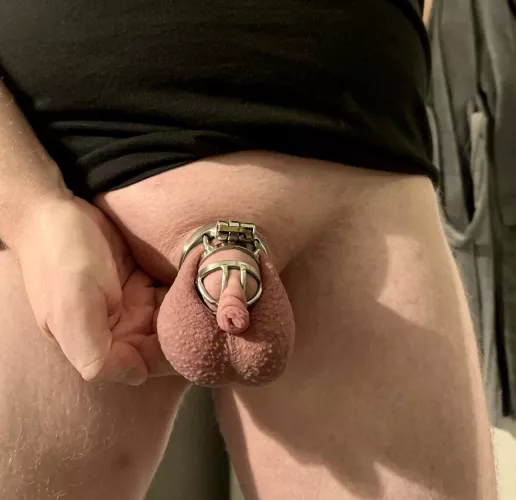 Incredibly horny locked sub by Agitated_Sandwich406