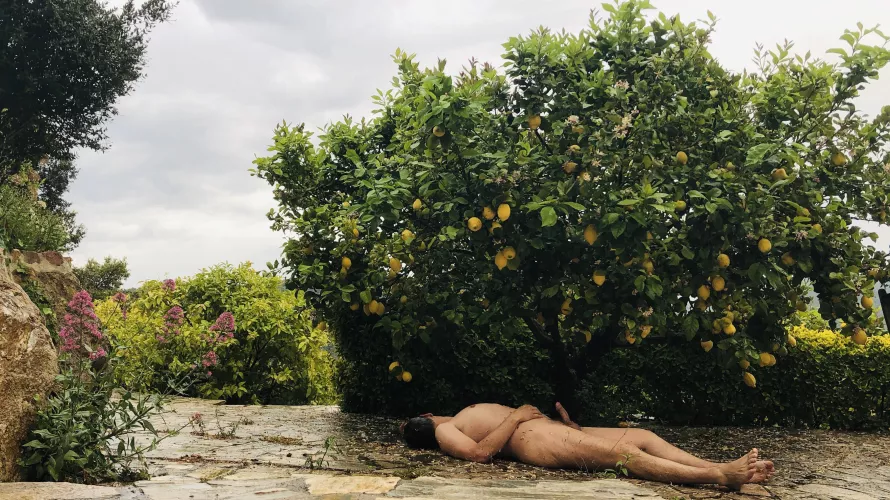 Just a yellow lemon tree…. by natural-outin-nature