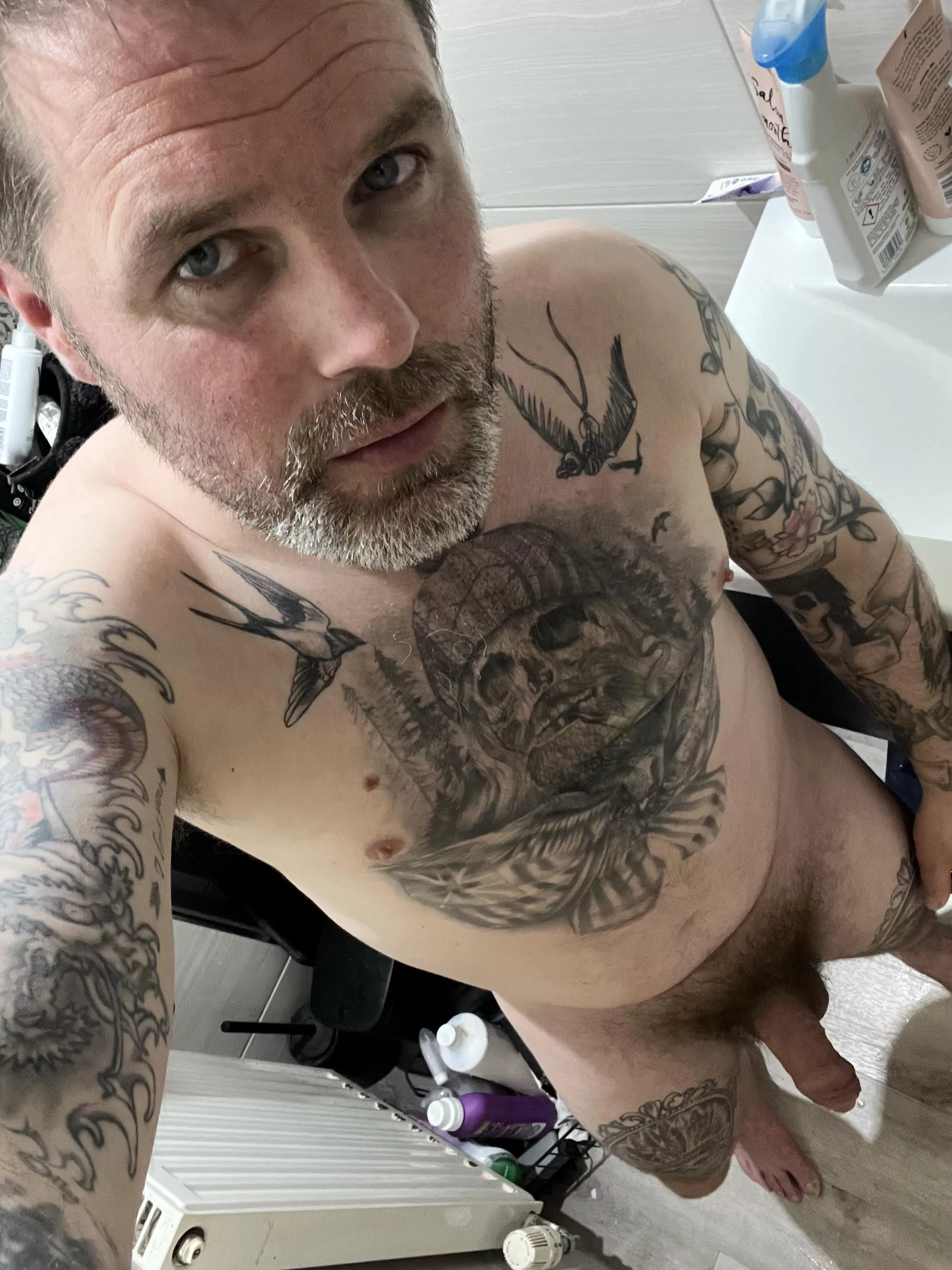 Like the grey ? posted by Mammoth-Geologist874