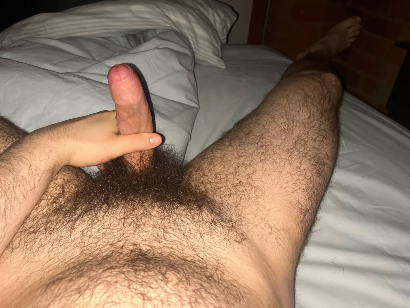 Looking to create a video group for all our bear and cub friends by Throwawayyyyyxdr