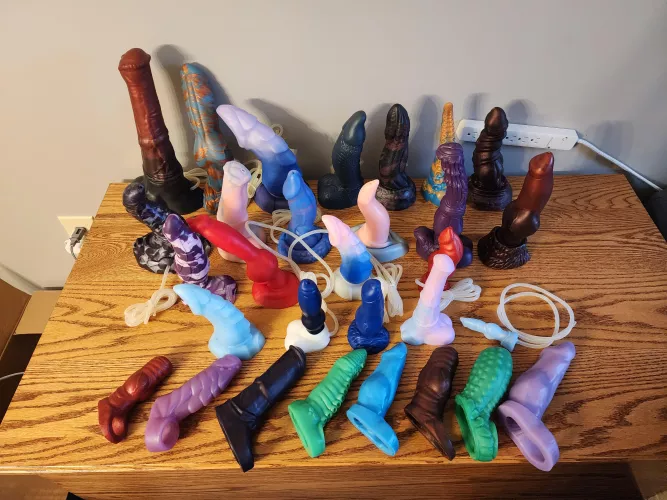 My Collection by Illustrious_Ad7504