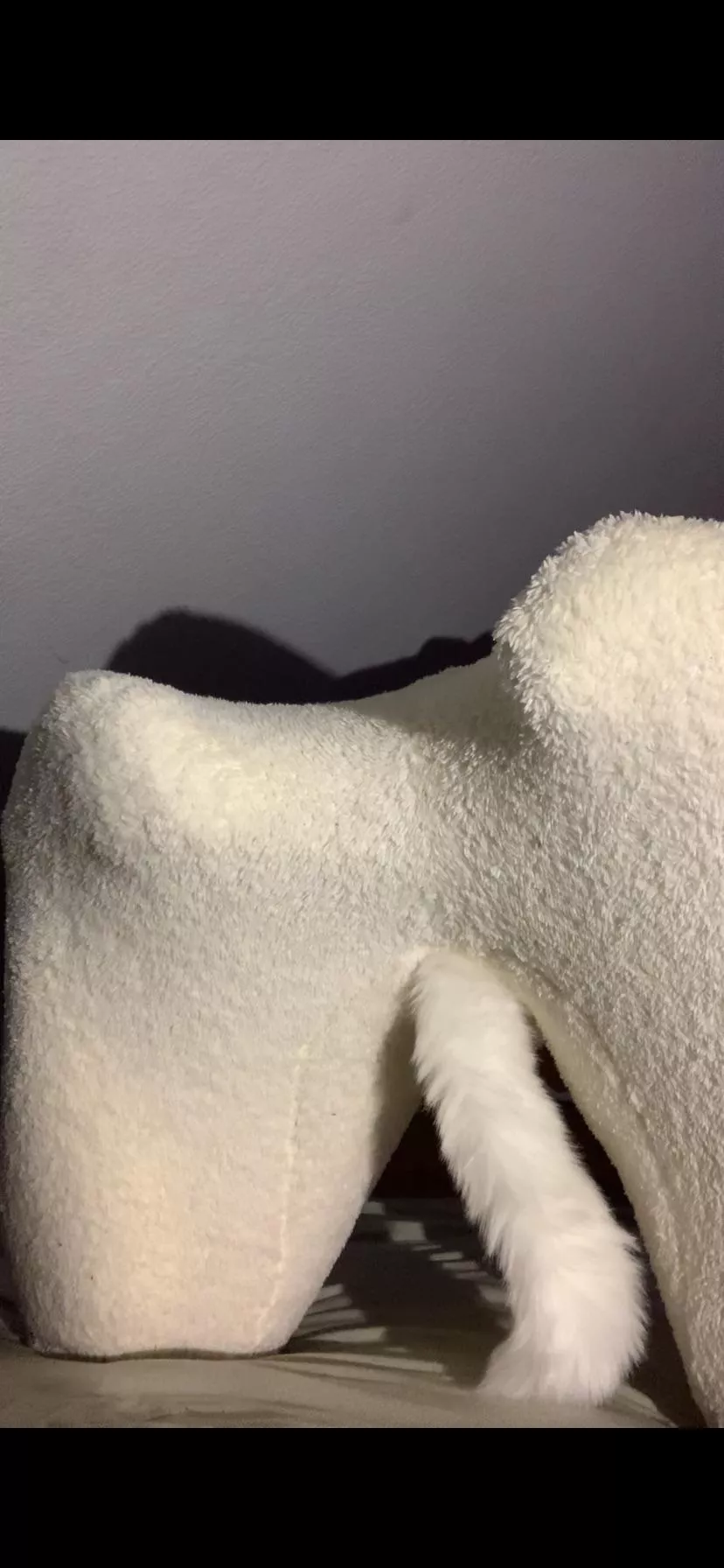 New tailplug and bitchsuit❤️ posted by Ecstatic-Mouse-3200