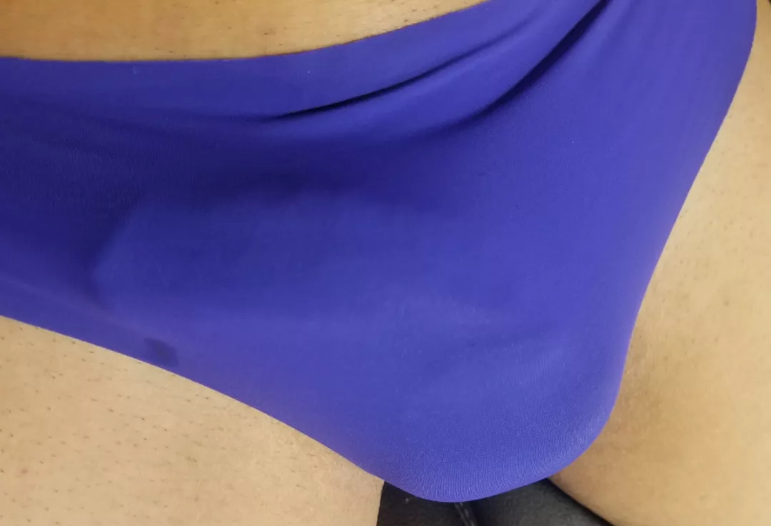 Outline posted by Odd_View_9847