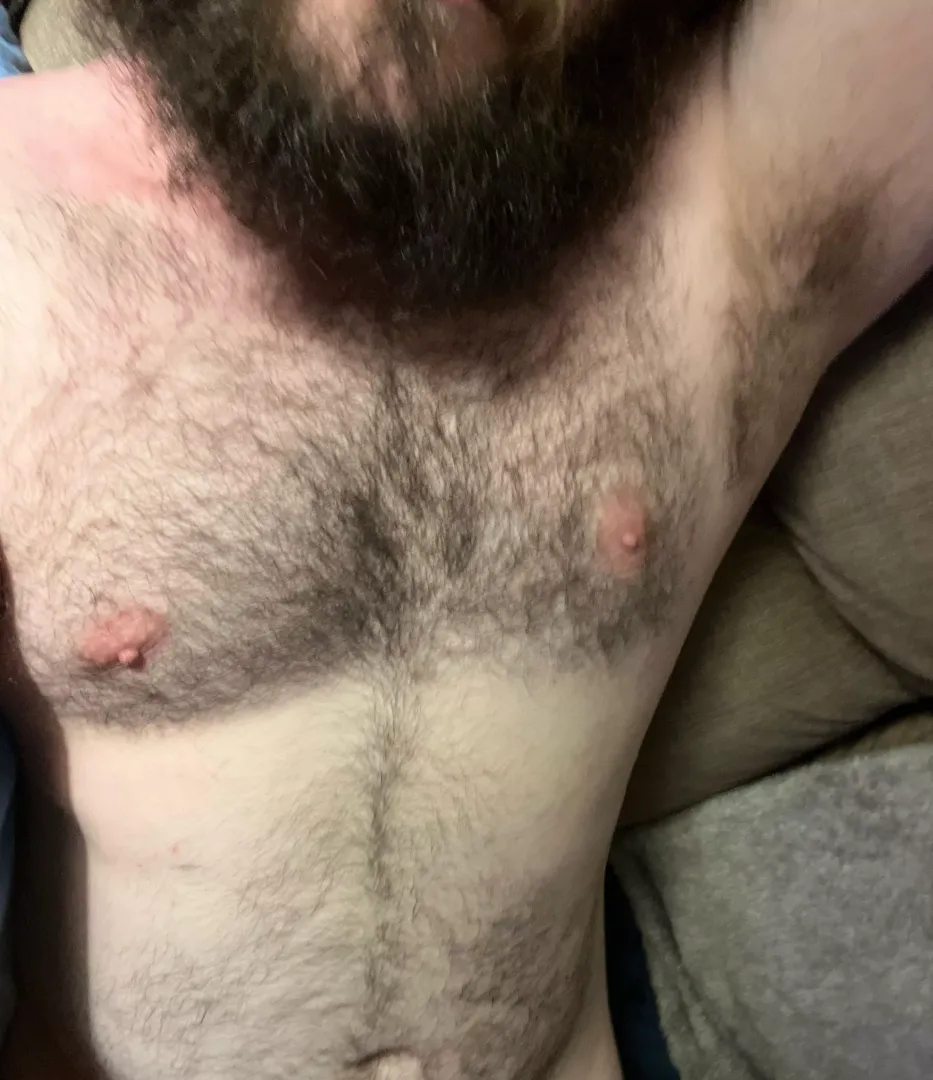Someone come sniff this armpit 😉 posted by hairybellybear27