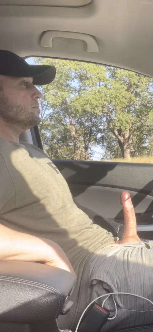 Sometimes I gotta let her out for some air on these long drives 🤙 by buffprincess2