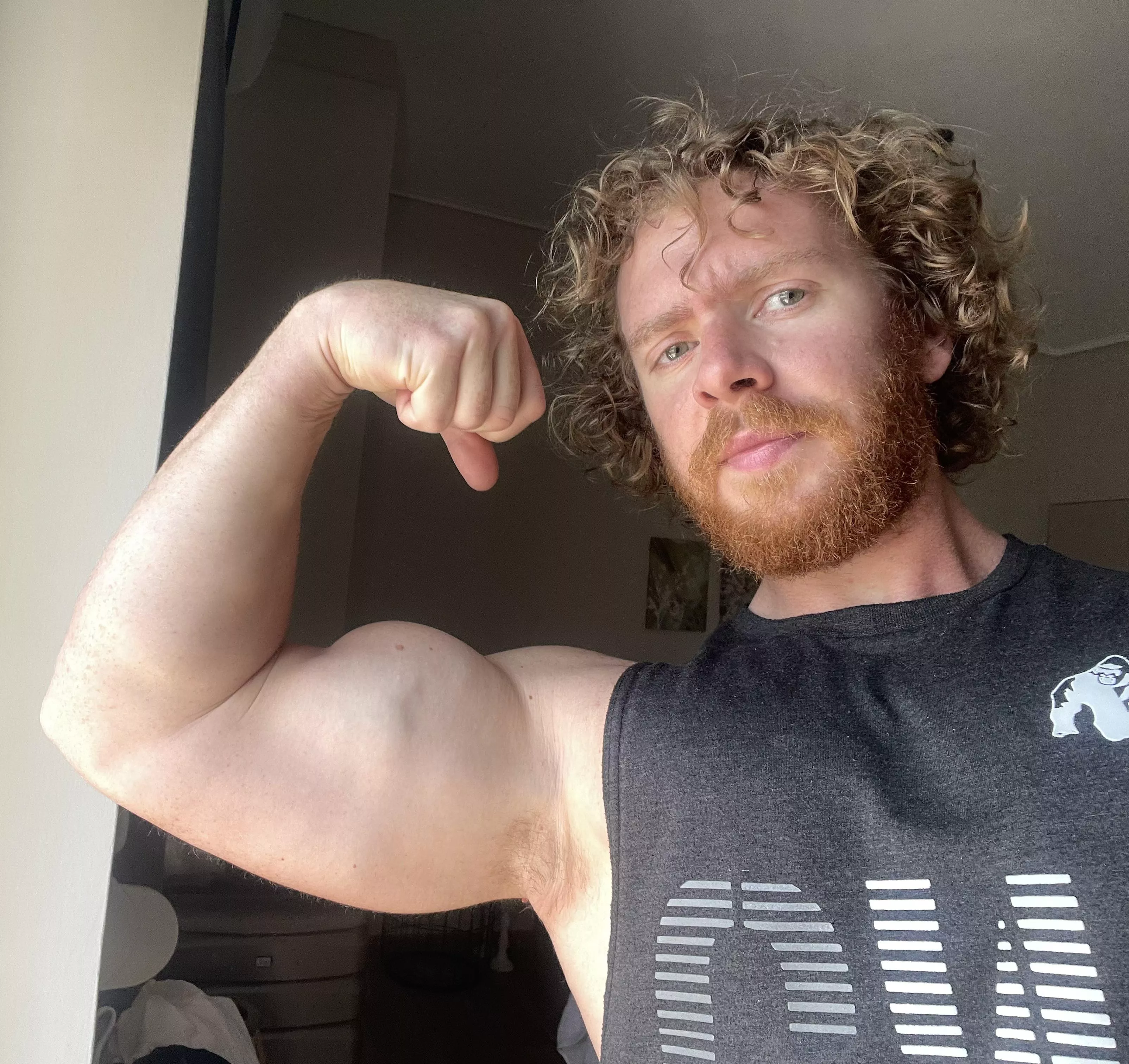 Stick your face in amongst these ginger pits! posted by Bearded_alpha1