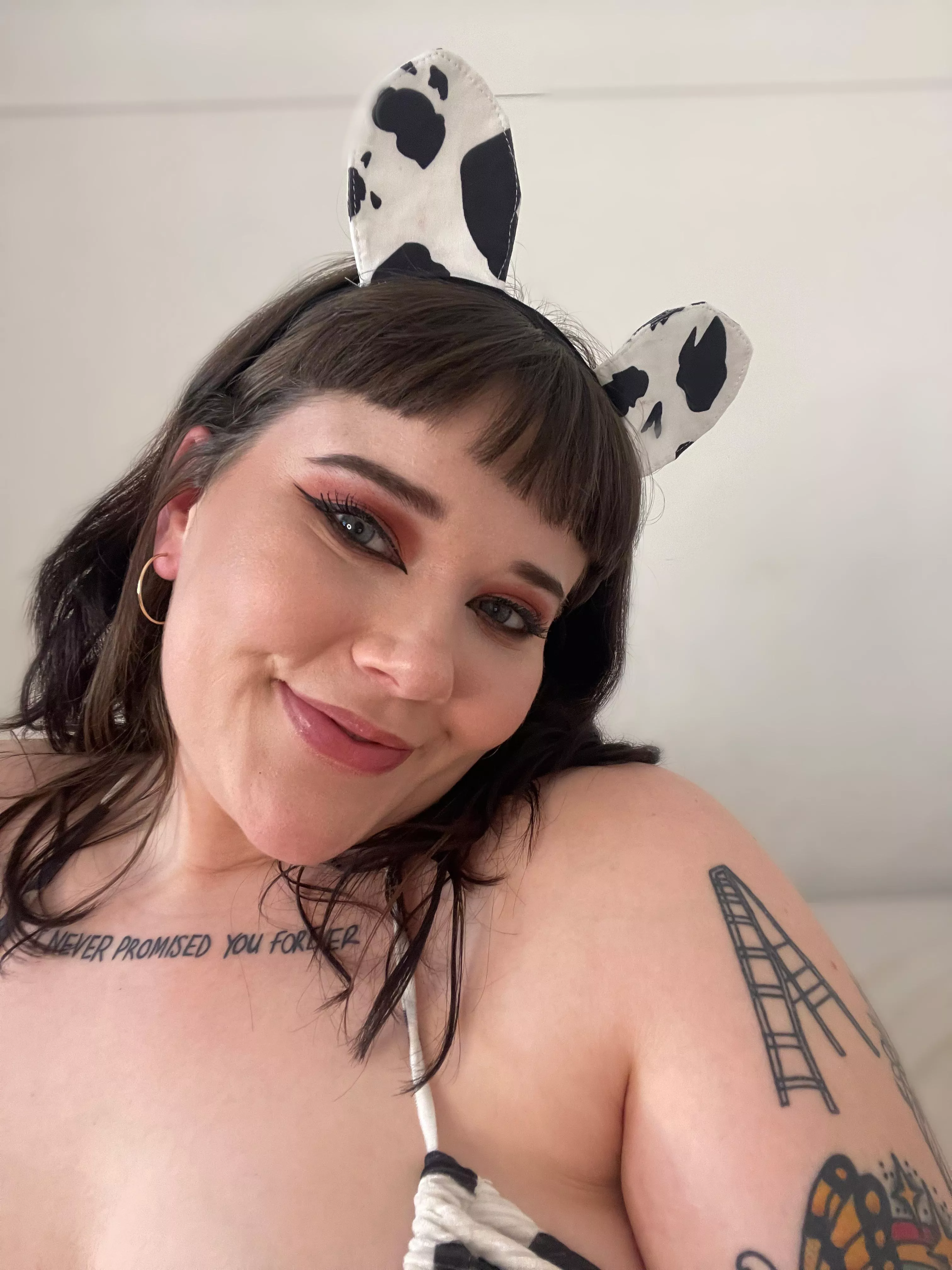 The cutest cow !!! posted by OfBillie