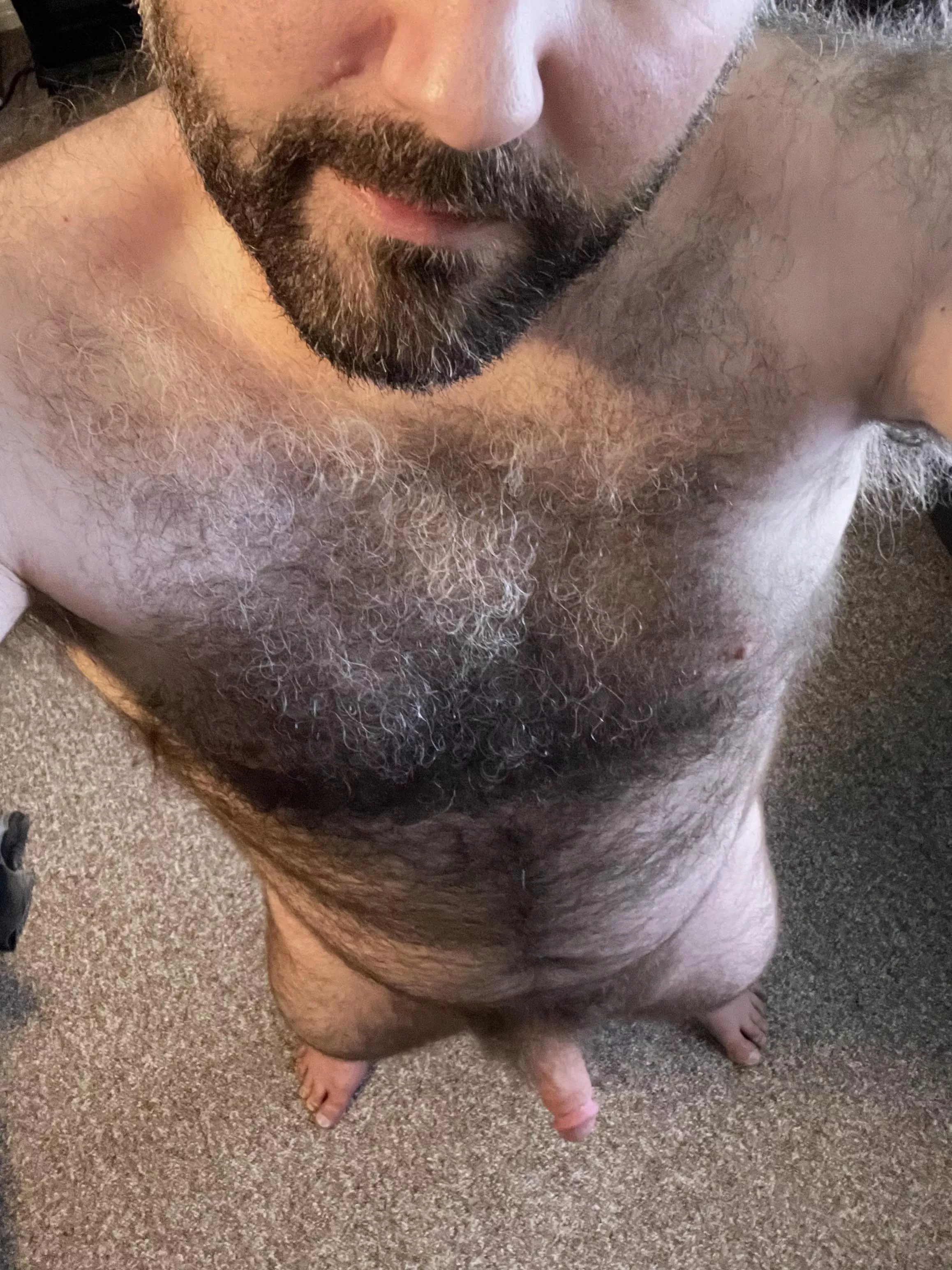 Very furry [40] posted by Downtown-Mud-5630