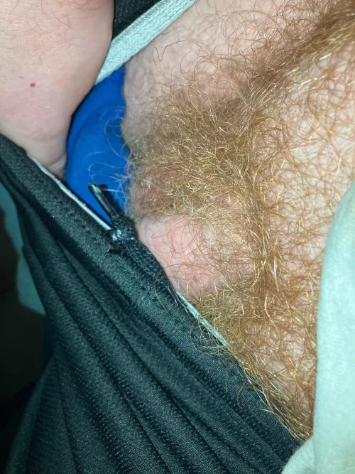 Anyone else have ginger pubes ? by beardedginger9191