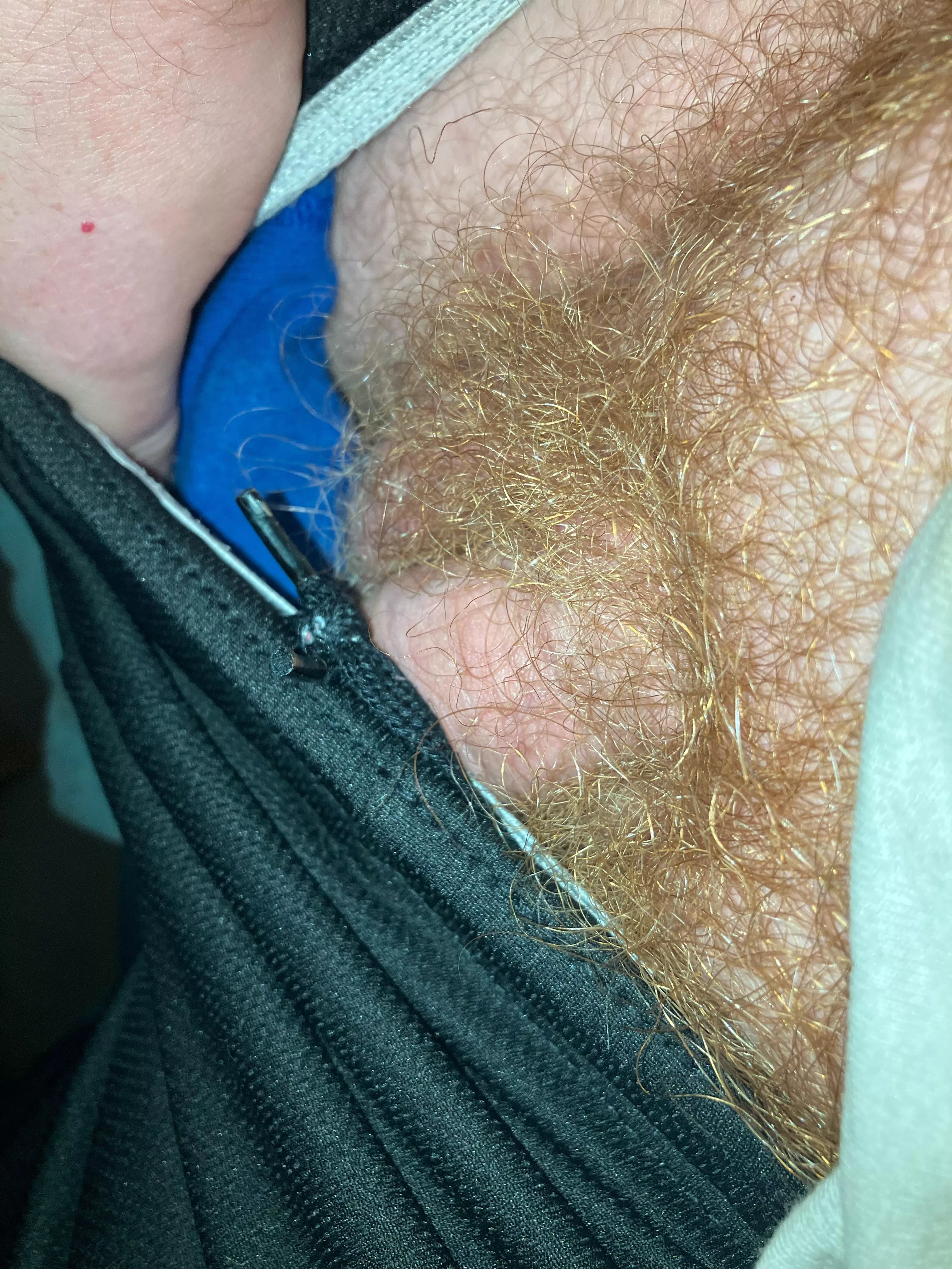 Anyone else have ginger pubes ? posted by beardedginger9191