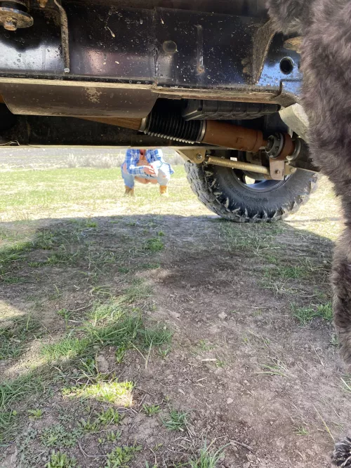 Camp piss! by peepin644