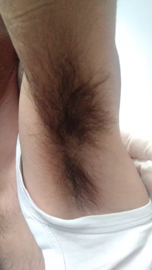 Come here bro by Lucky-Aerie4