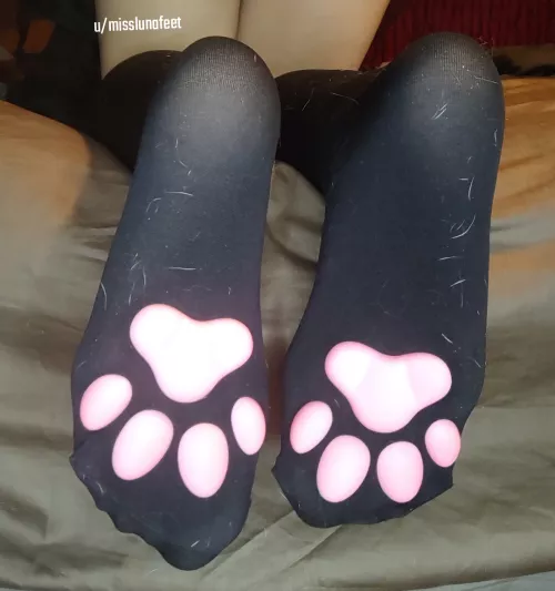 Fuzzy kitten paws by prettyfeetraven