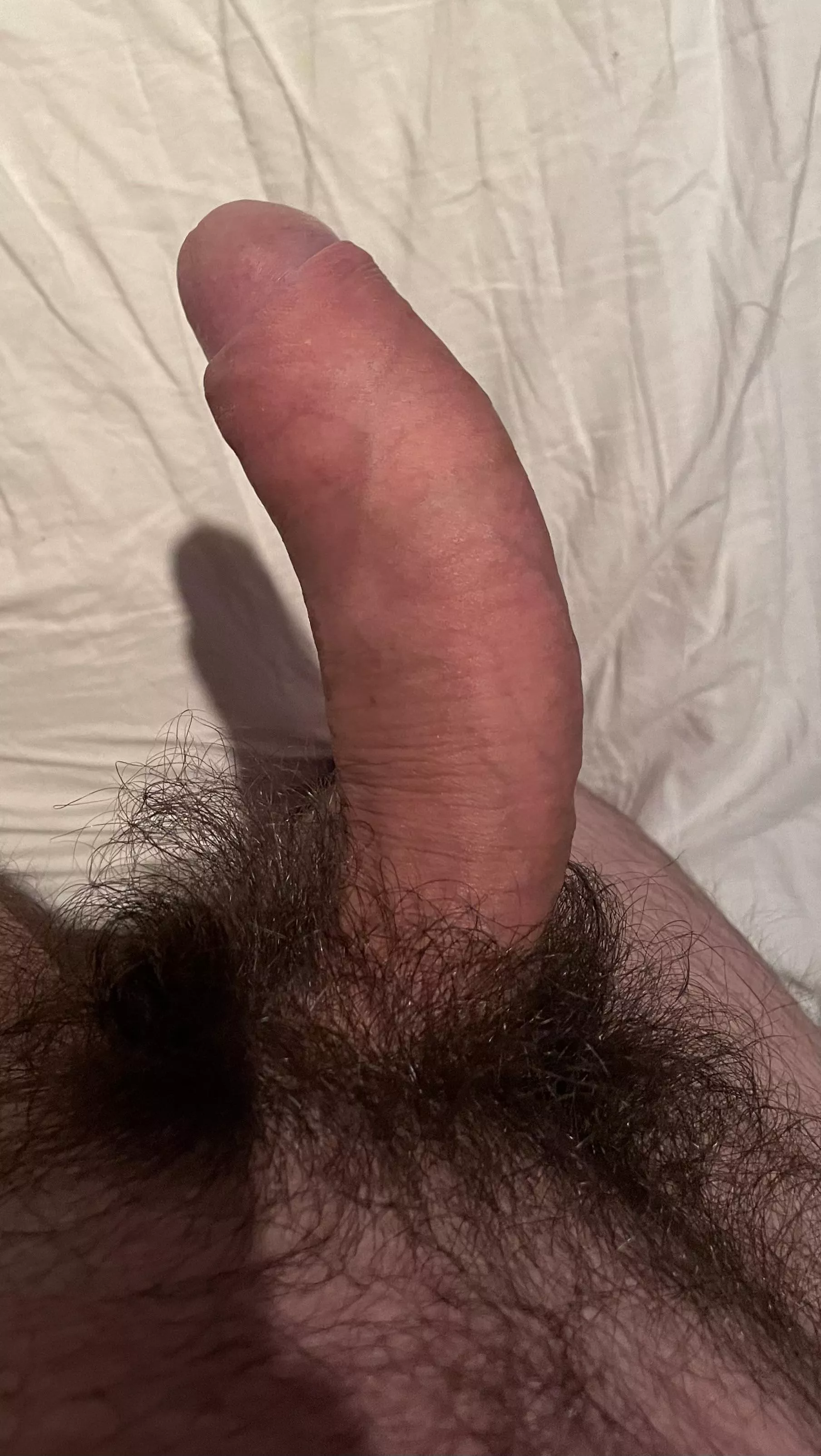 Grizzly wild posted by MeedEdd