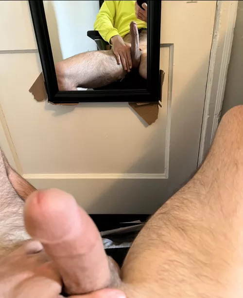 He likes his reflection by Left-Landscape2037