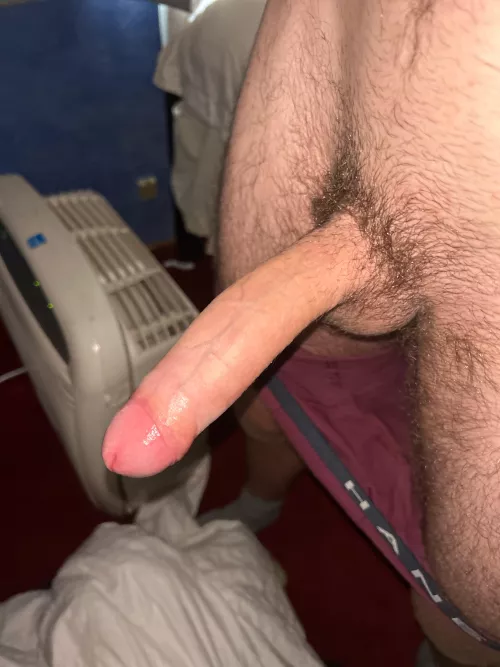 My balls are full and I’m ready to cum by Tricky_Court_7154