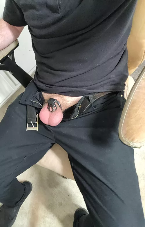 My new cage arrived today! by Makisupa_010