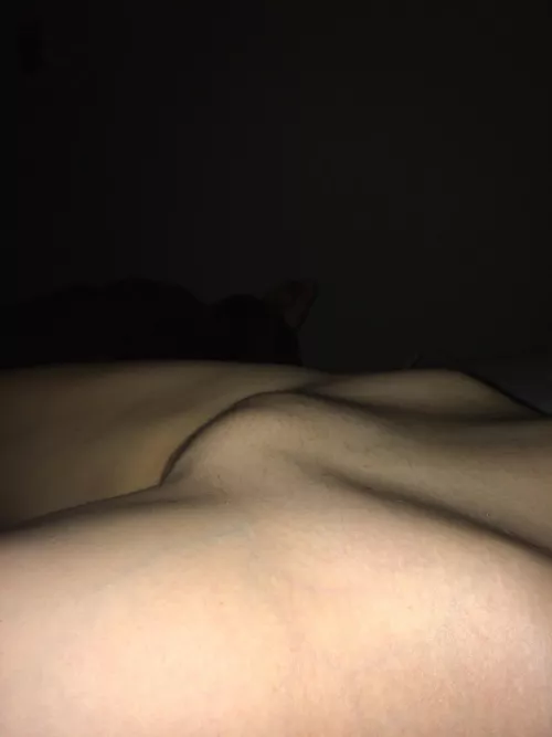 My pale bridge by normdists