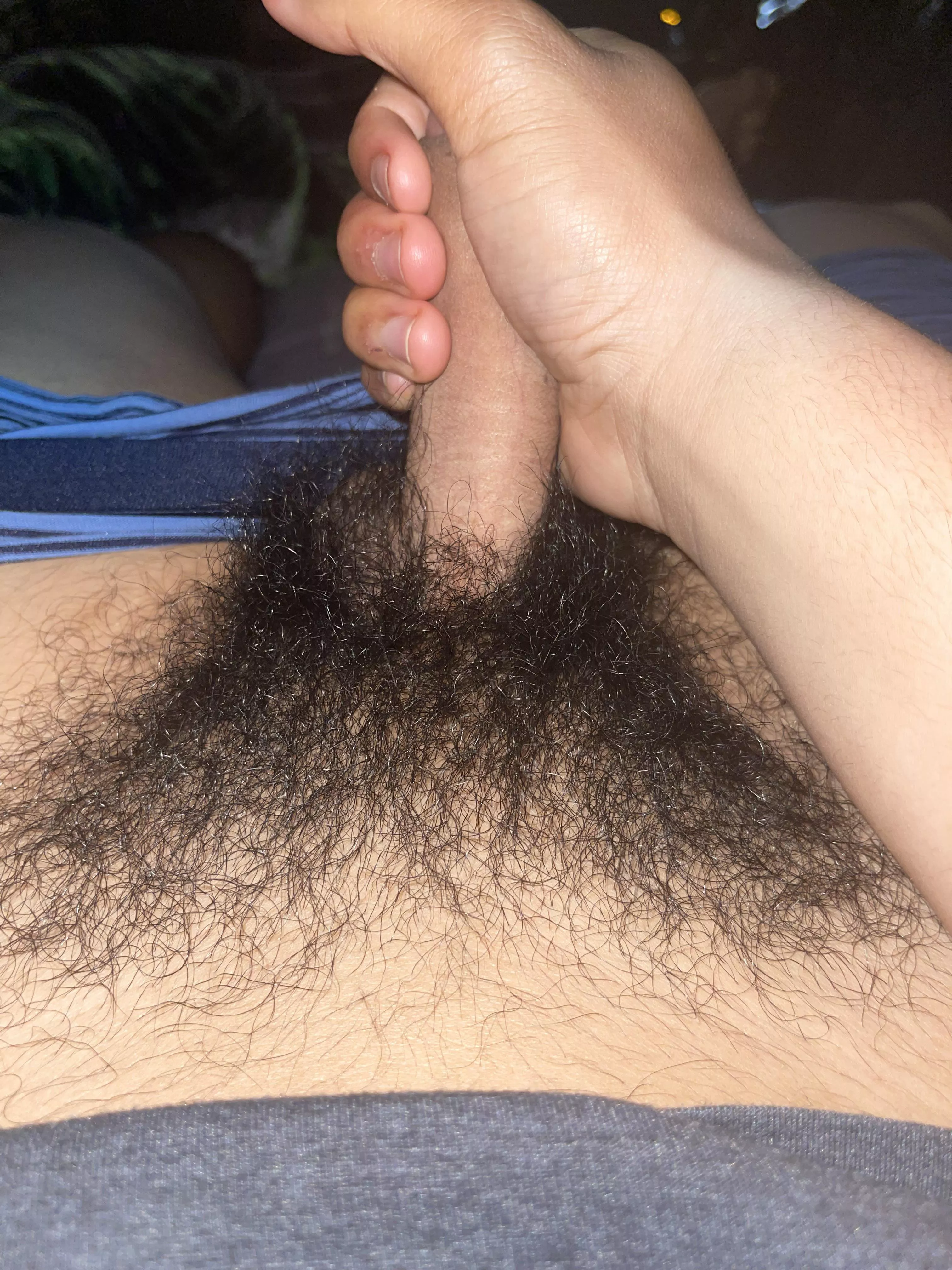 Should I keep growing my bush? (18) posted by Destroyer_11889