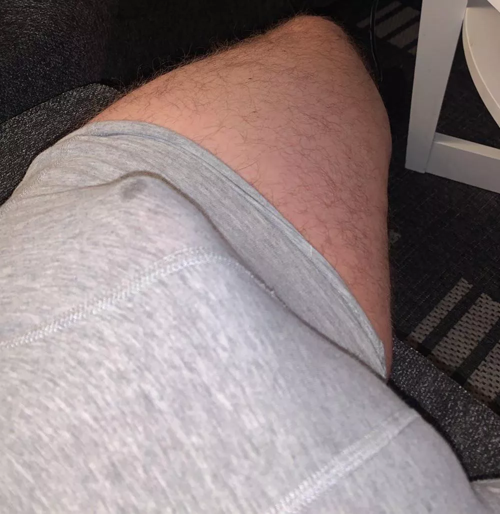 Should i pull them down? posted by HappyMemory1996