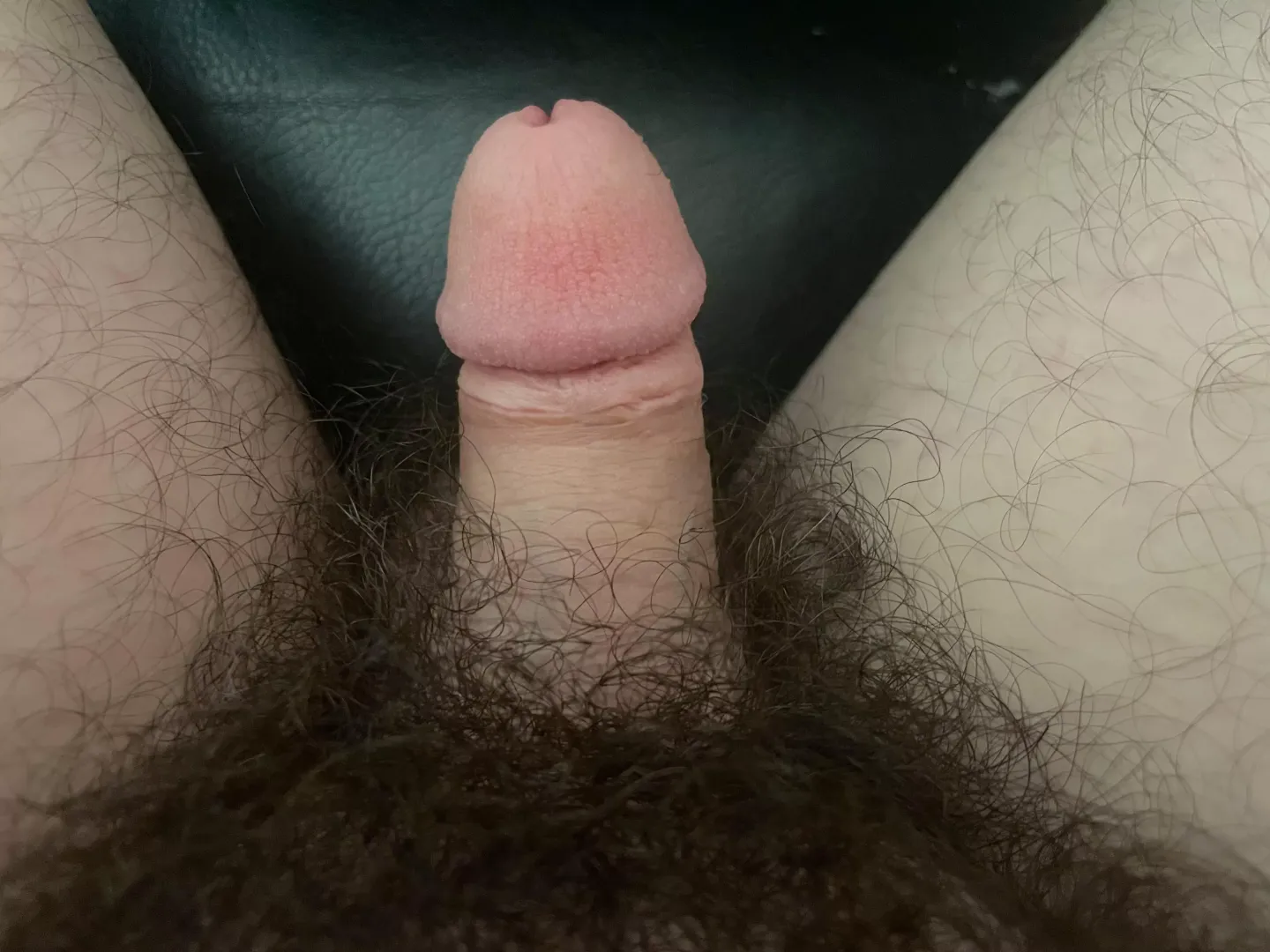 Soft dick need more love! by NOFX12345