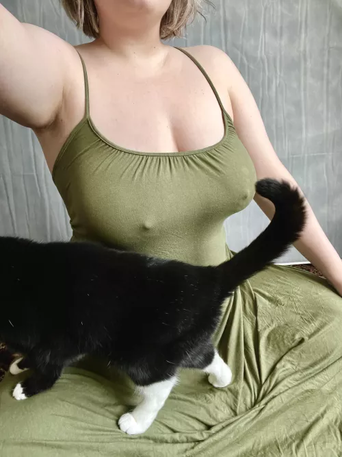 Someone likes my lap better by Snacky_thiccums