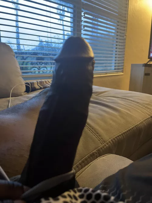 Thunderstorm hangout by floridabbc8