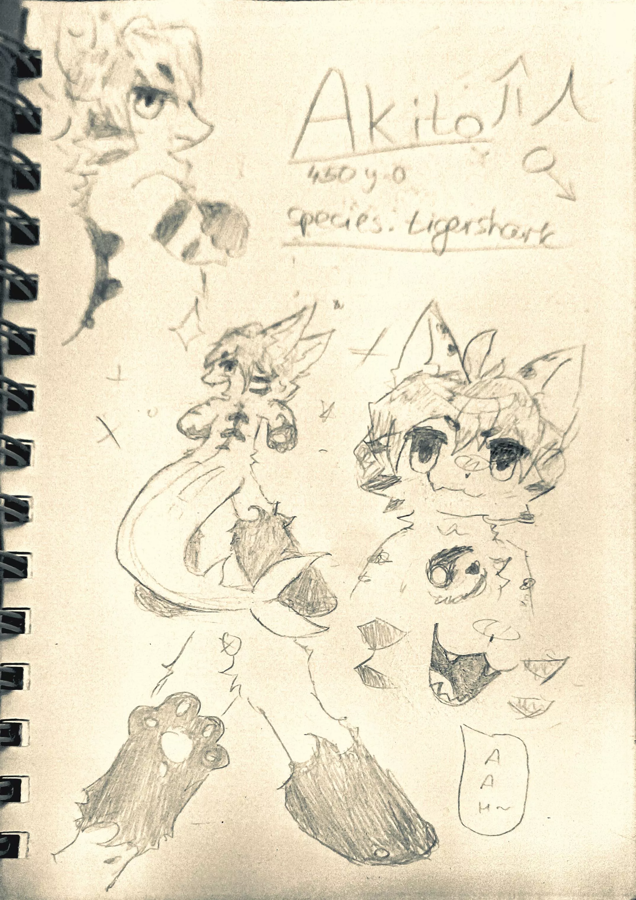 Tried drawing in kemono style. What do you think? posted by MimsBlacker