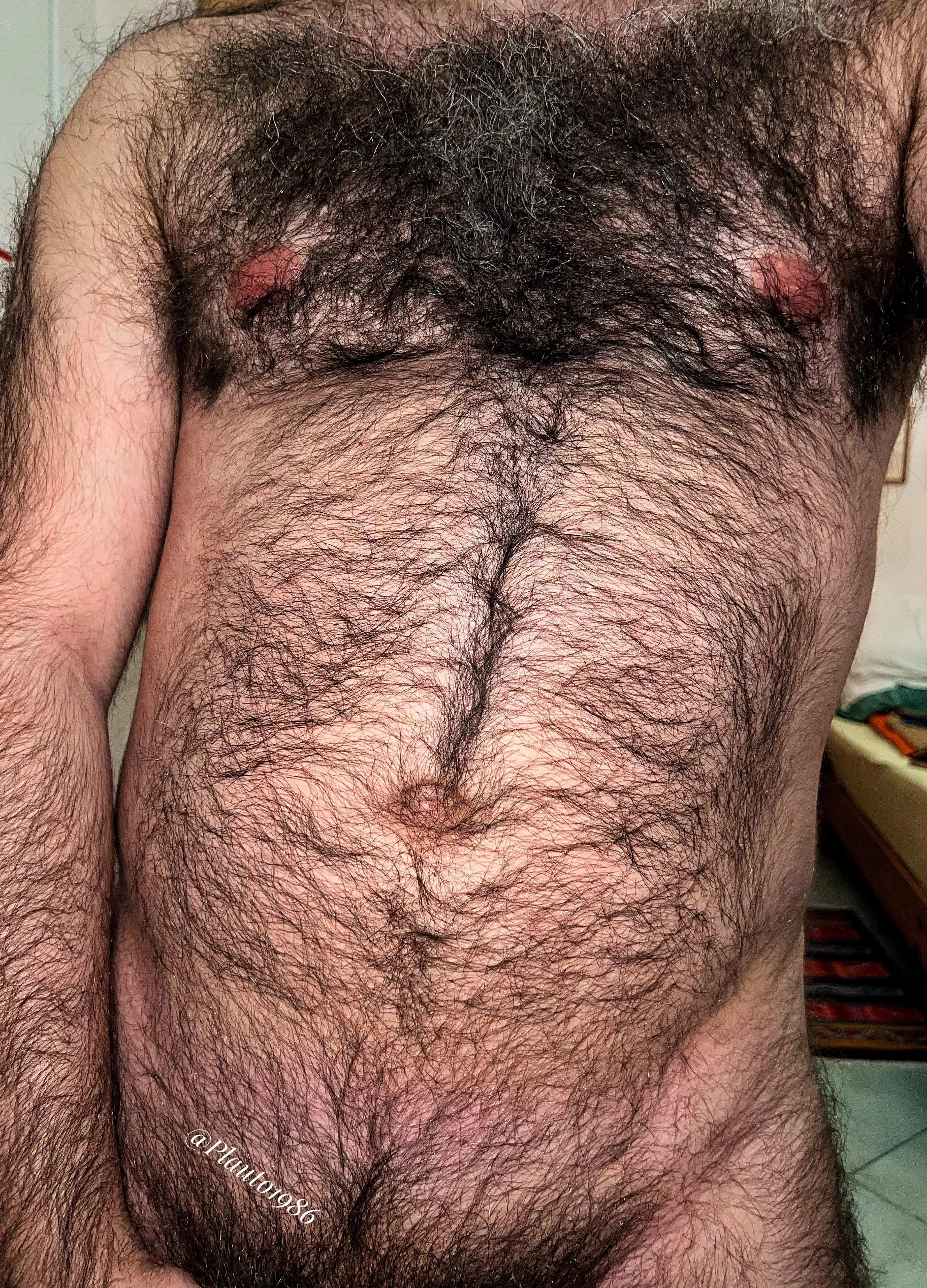 You don’t get to see a sexy hairy chest like this everyday, boy! posted by Plauto1986