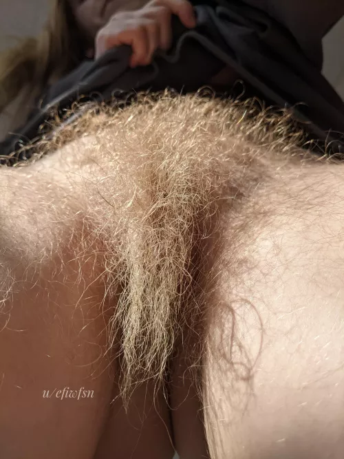 Your face looks nice, can I bury it in my rug? by efiwfsn