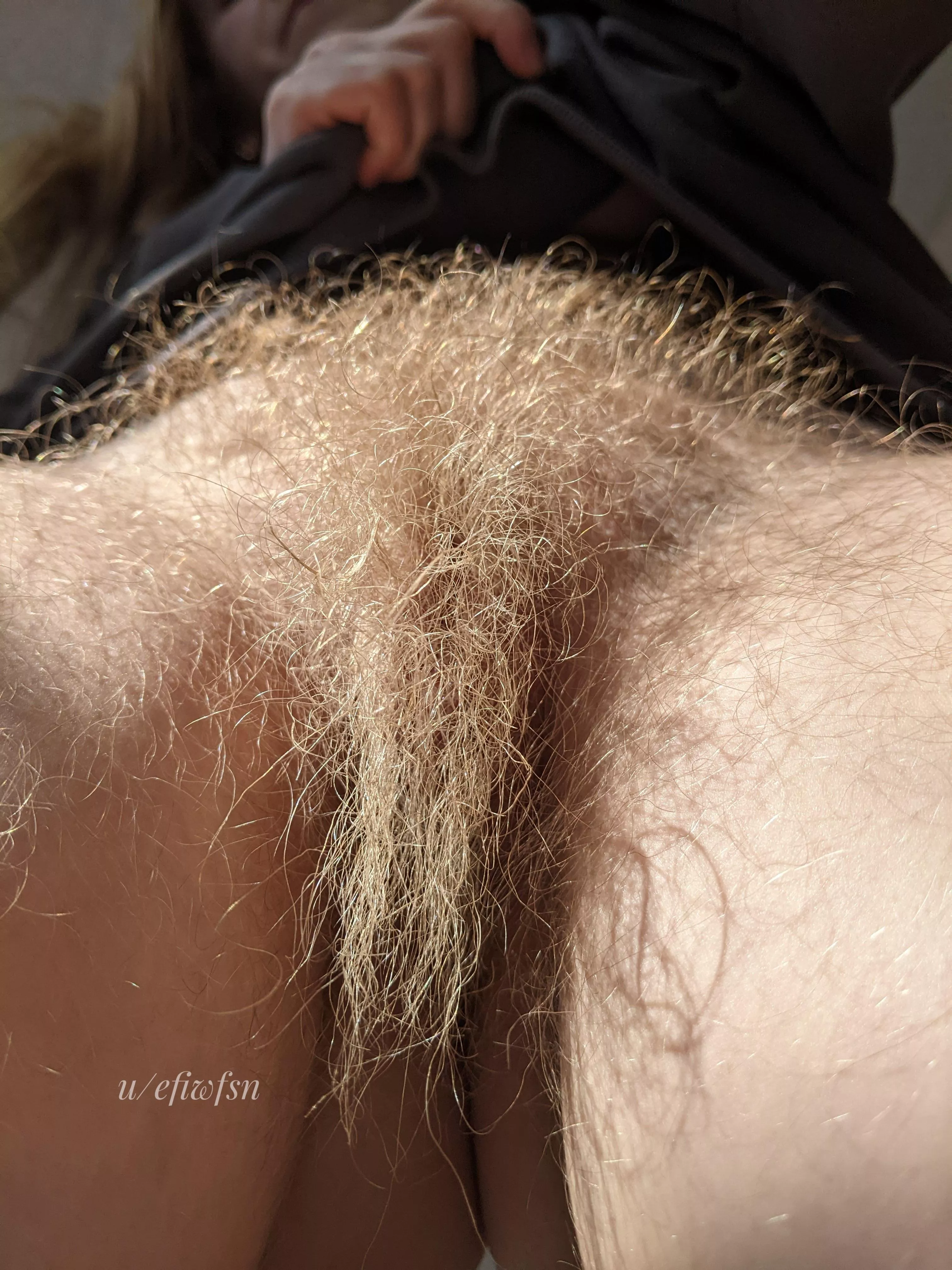 Your face looks nice, can I bury it in my rug? posted by efiwfsn