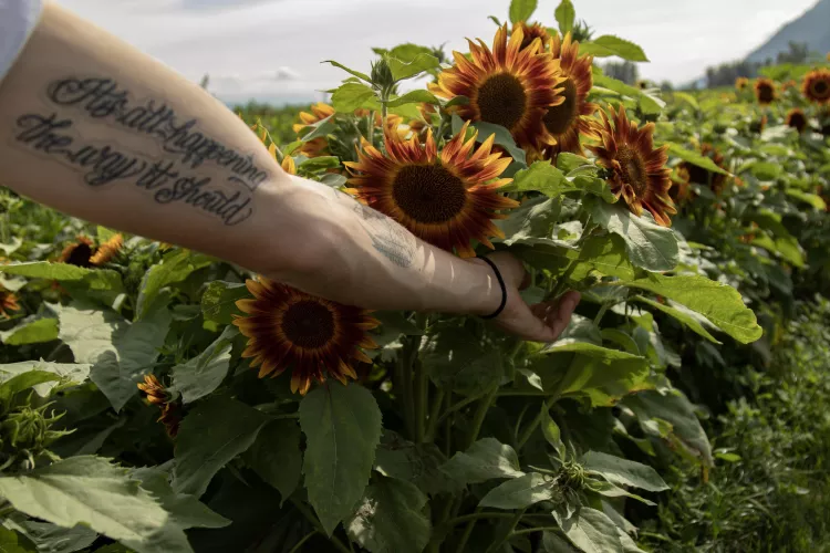 Climbing has been doing wonders for the forearm veins 😘 by Lennycox