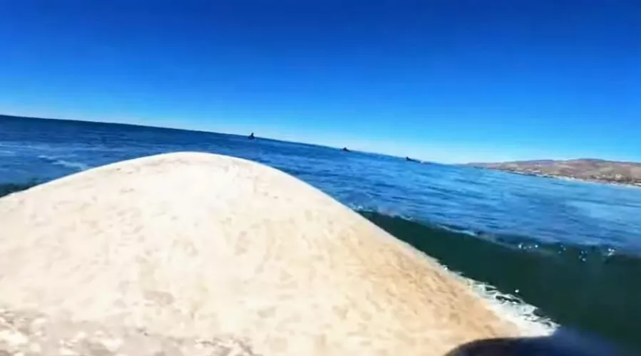 Heaven... by Fun-Investigator-914