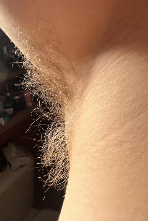 How long do you think it’s been since I’ve shaved? I love how golden they are in the light by asstralgoddess28