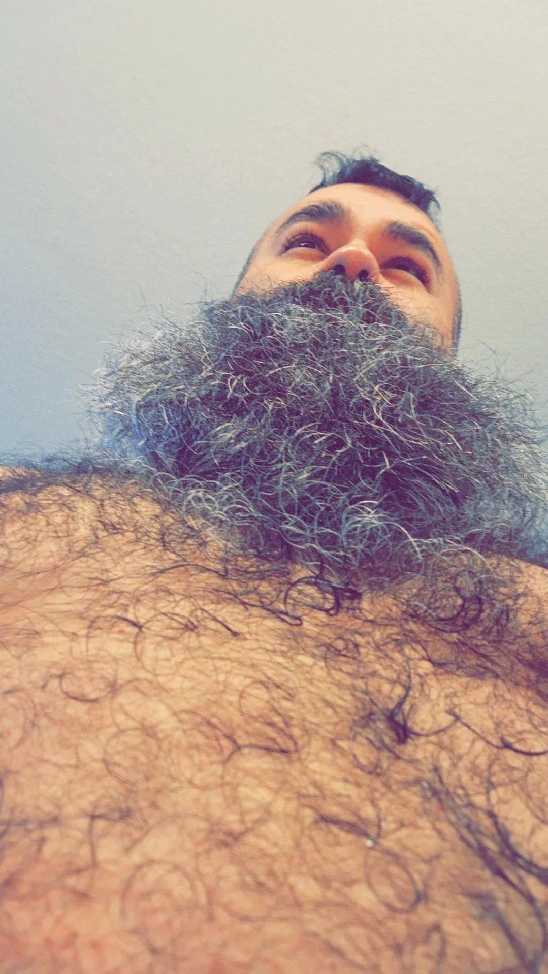 I head y'all like chest hair... posted by bearded-JJ