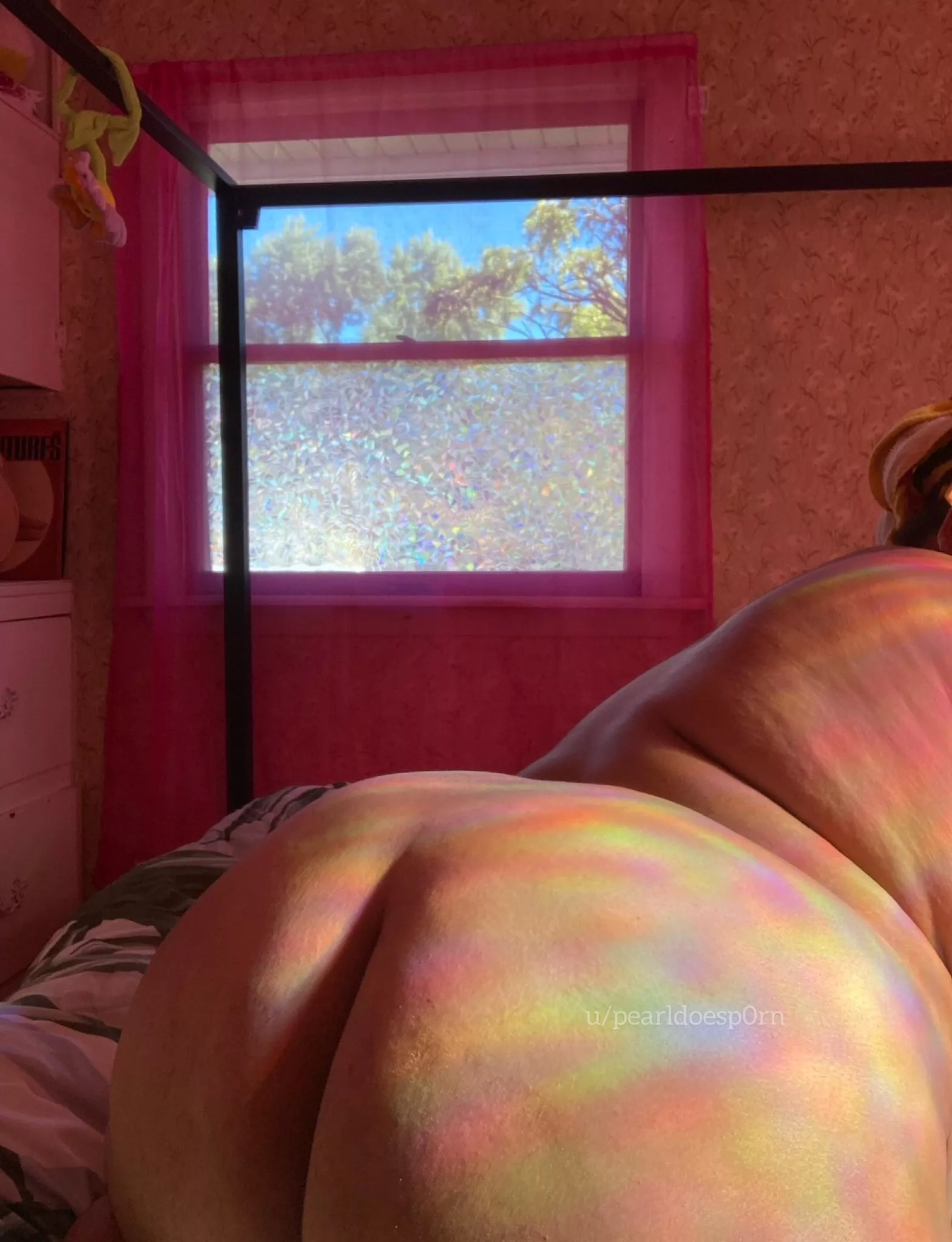 Let me sit this on you posted by pearldoesp0rn